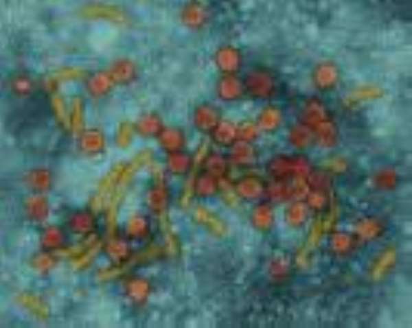 HEPATITIS B - The Silent Killer